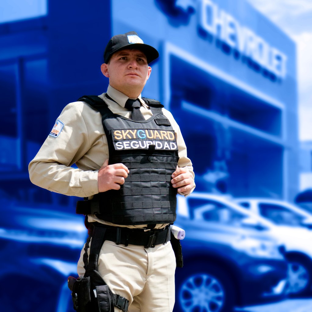 seguridad física y electrónica